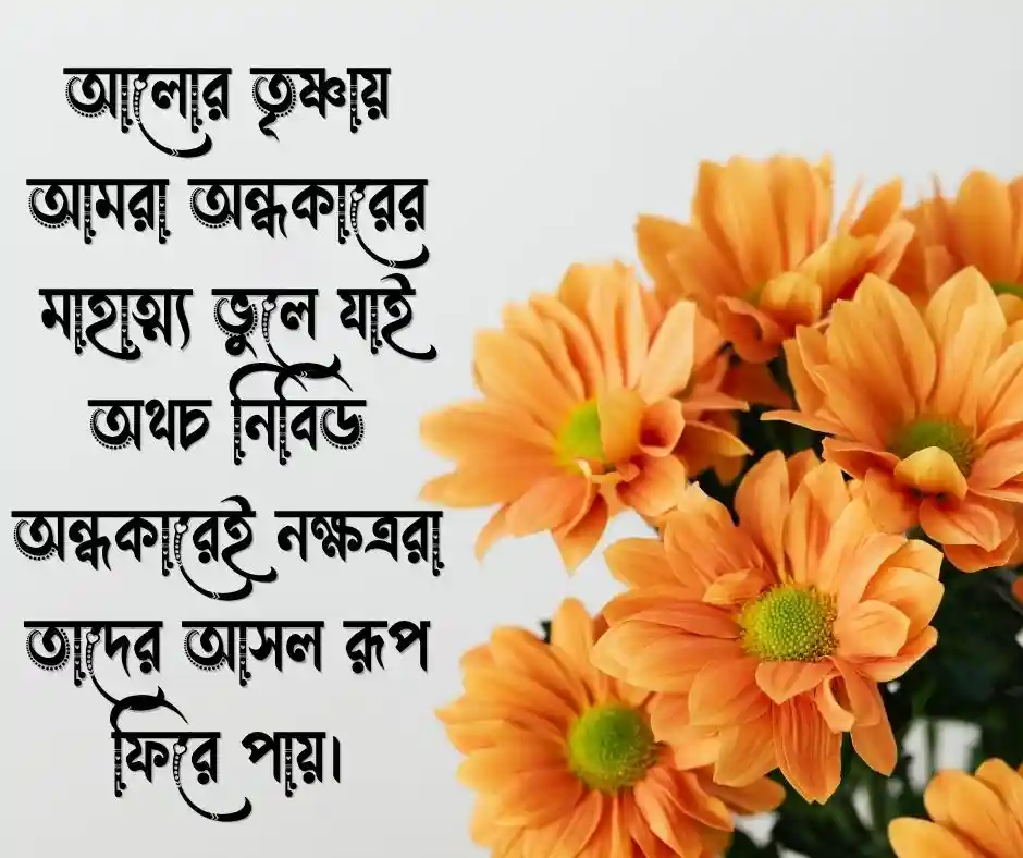 FB Caption Bangla Caption for Facebook