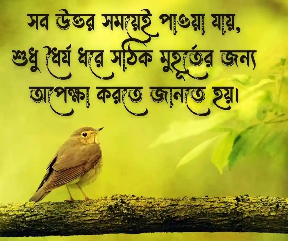 ট্রেন্ডিং বাংলা ক্যাপশন