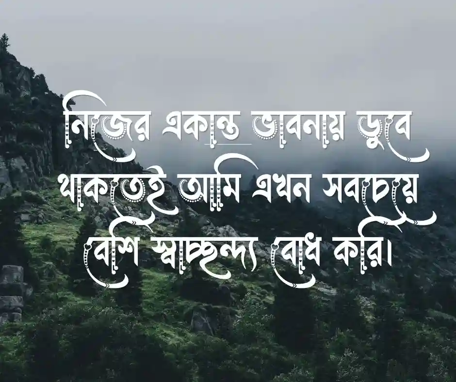 নিজেকে নিয়ে কিছু কথা ও ফেসবুক স্ট্যাটাস