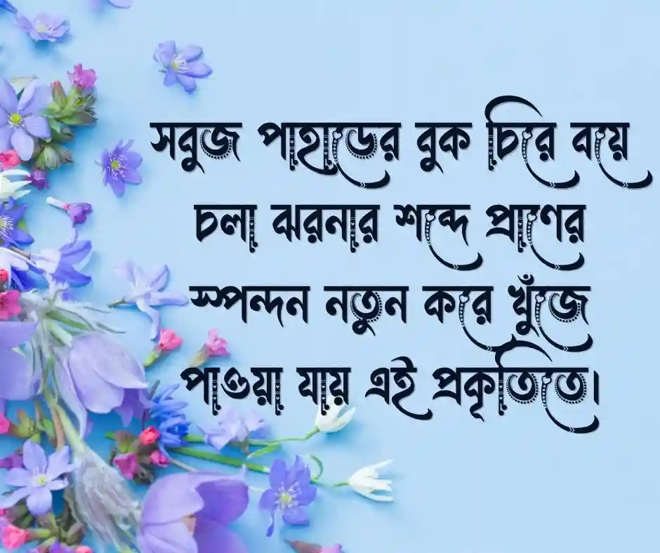 প্রকৃতি নিয়ে কিছু ক্যাপশন বাংলাতে