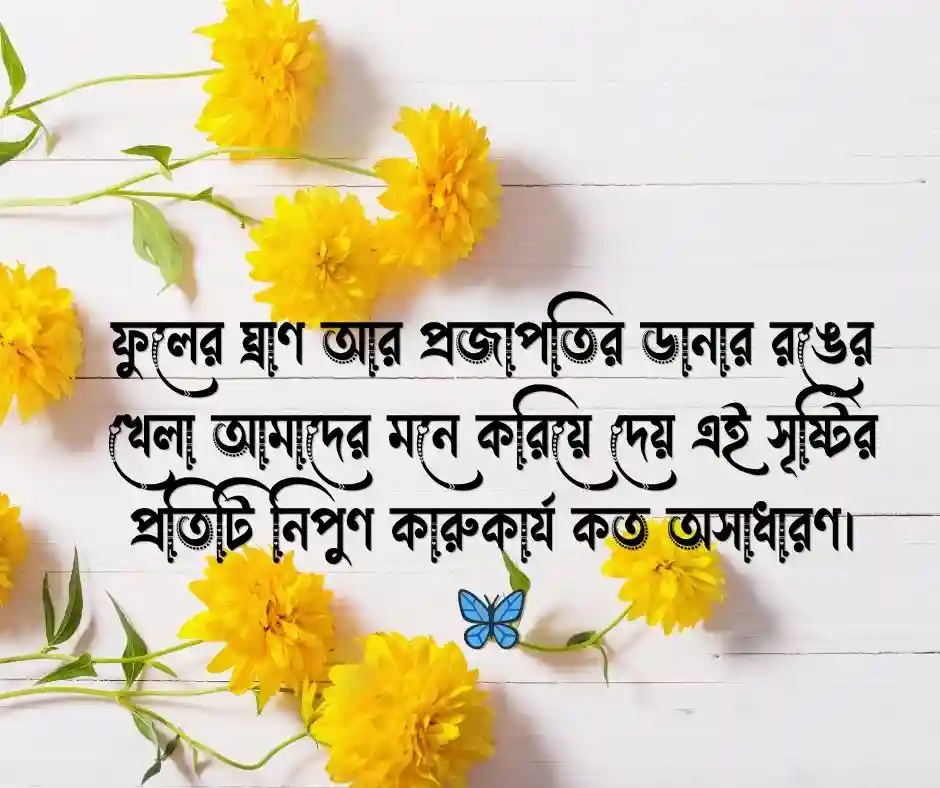 প্রকৃতি নিয়ে ক্যাপশন