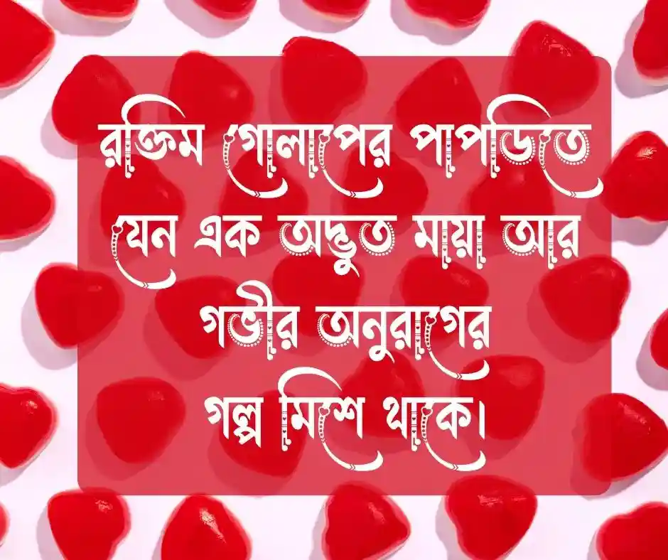 ফুল নিয়ে কিছু ফেসবুক স্ট্যাটাস