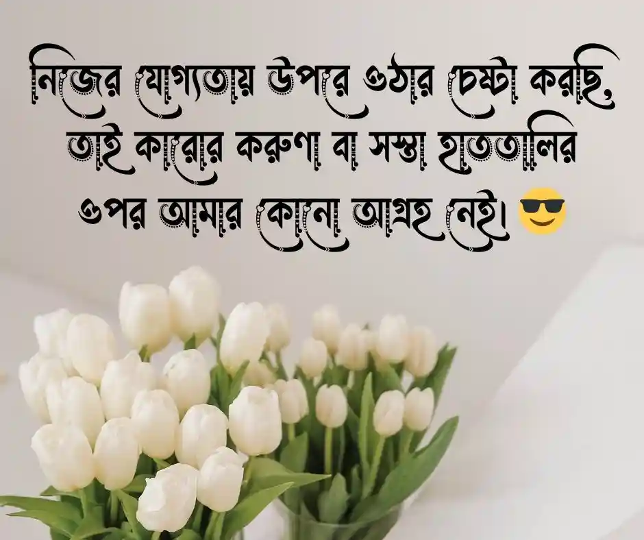 বাংলা অ্যাটিটিউড ক্যাপশন Attitude Caption Bangla