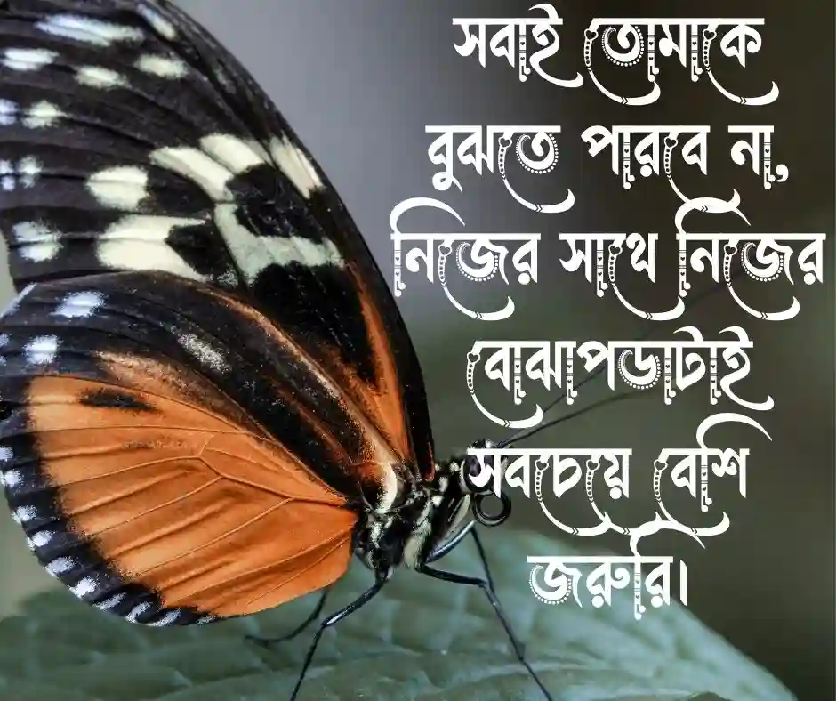 বাংলা ক্যাপশন সেরাটা Trending Bangla Caption