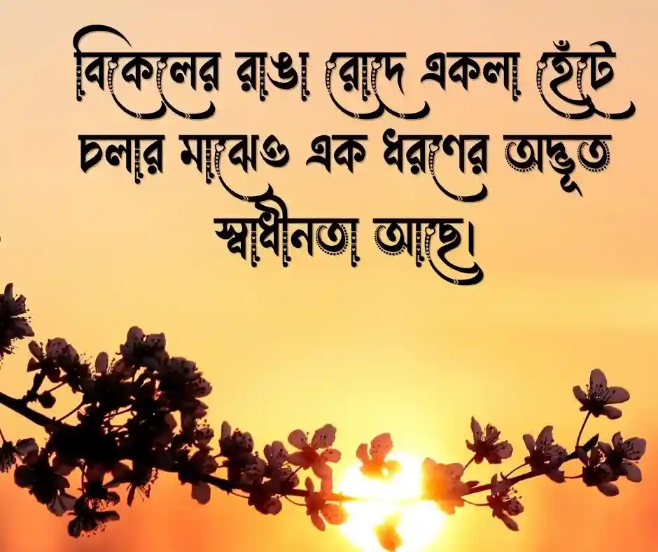 বেস্ট বাংলা ক্যাপশন Best Bangla Caption