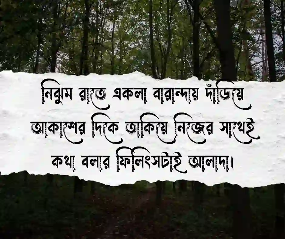 রাত নিয়ে সুন্দর কিছু ক্যাপশন ও স্ট্যাটাস