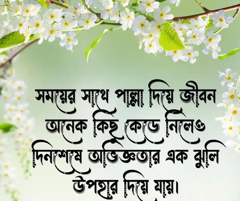 সেরা কিছু জীবন নিয়ে উক্তি বাস্তব জীবন নিয়ে ক্যাপশন