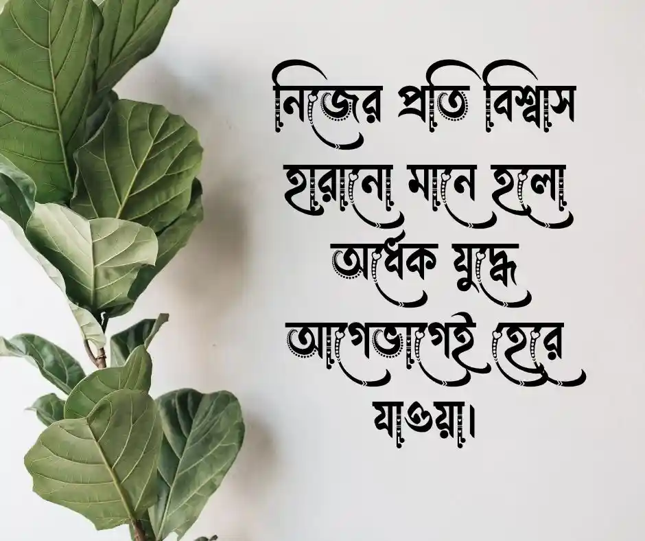 সেরা কেপশন বাংলায়