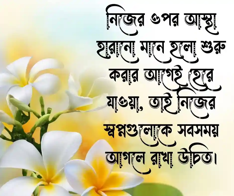 সোস্যাল মিডিয়ার ছবির জন্য বাংলা ক্যাপশন সেরাটা