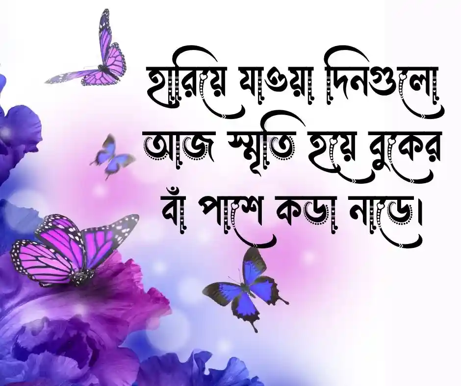 স্পেশাল সব বাংলা শর্ট ক্যাপশন Bangla Short Caption