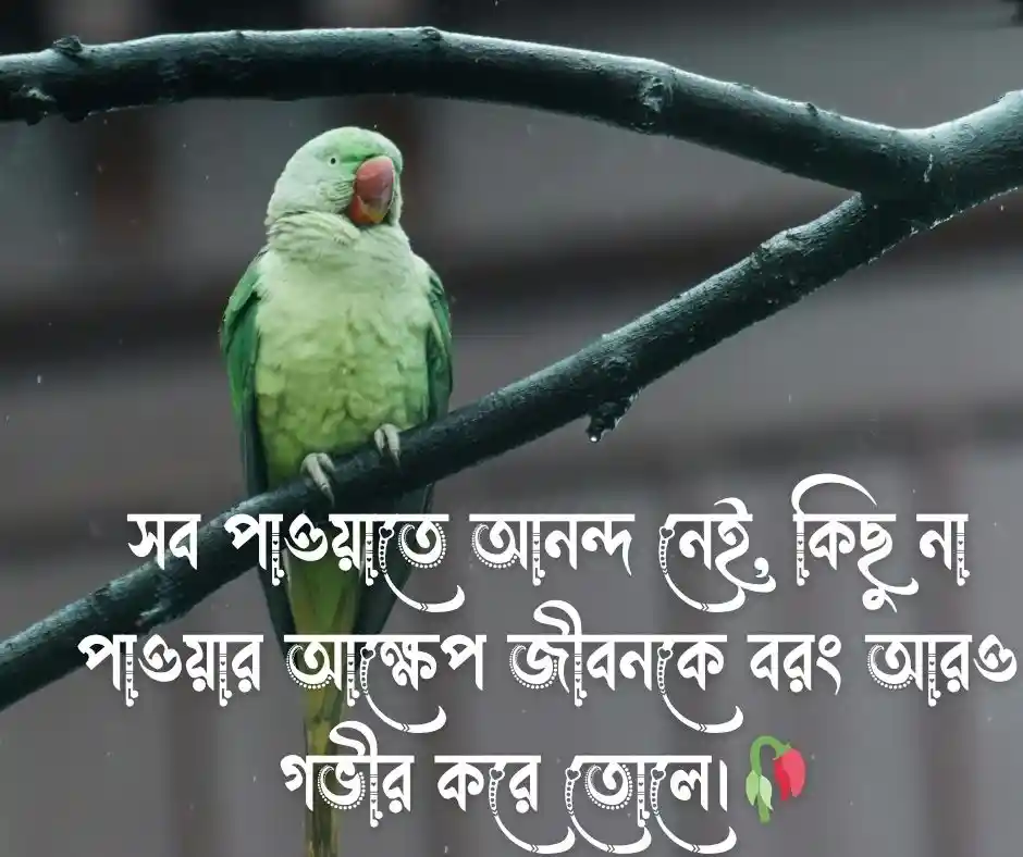 ২০২৬ সালের কিছু ট্রেন্ডিং বাংলা ক্যাপশন