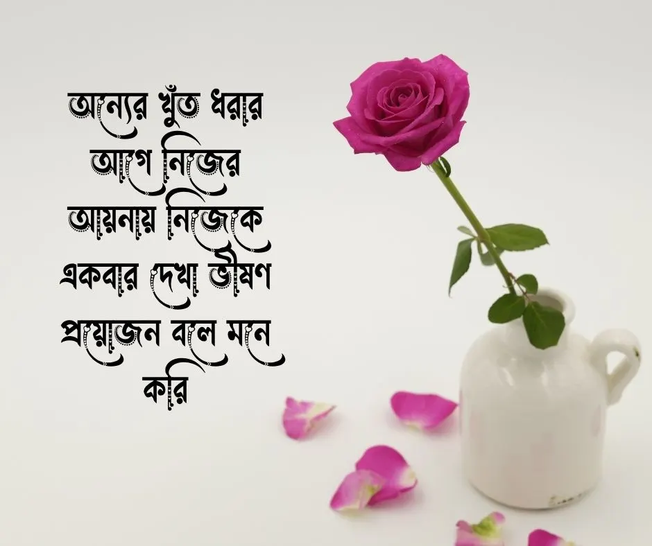 অন্যের দোষ খোঁজা নিয়ে উক্তি