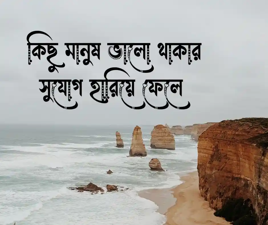অযোগ্য ব্যক্তি নিয়ে উক্তি