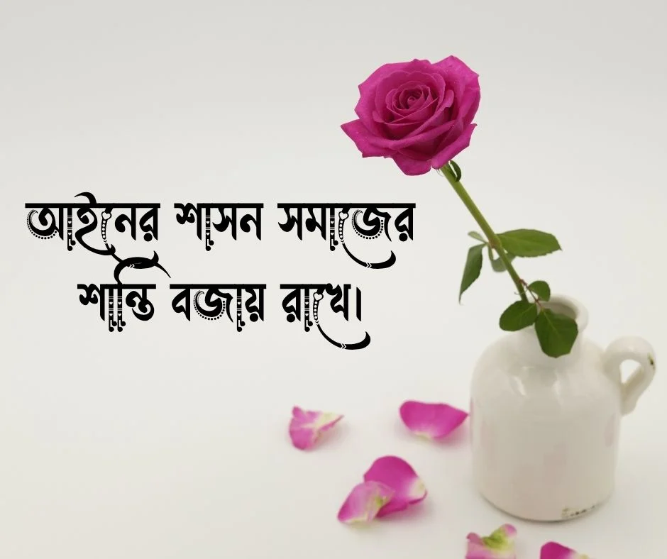 আইন নিয়ে উক্তি