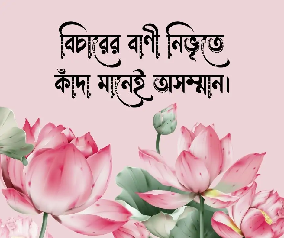 আইন নিয়ে বিখ্যাত উক্তি