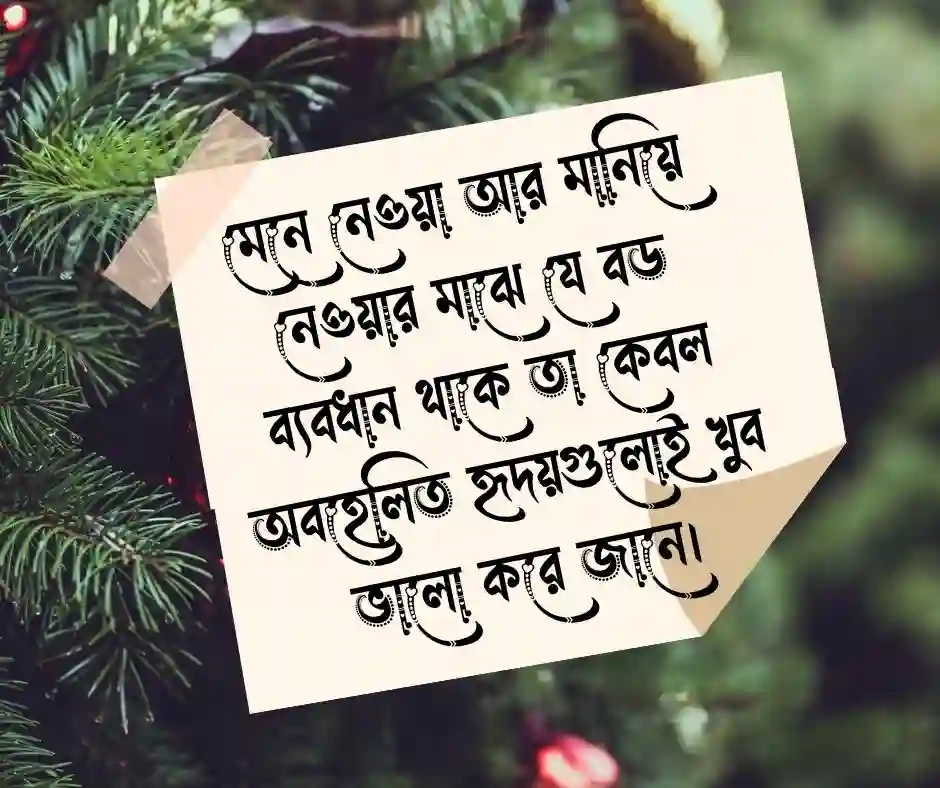 আবেগি কষ্টের স্ট্যাটাস