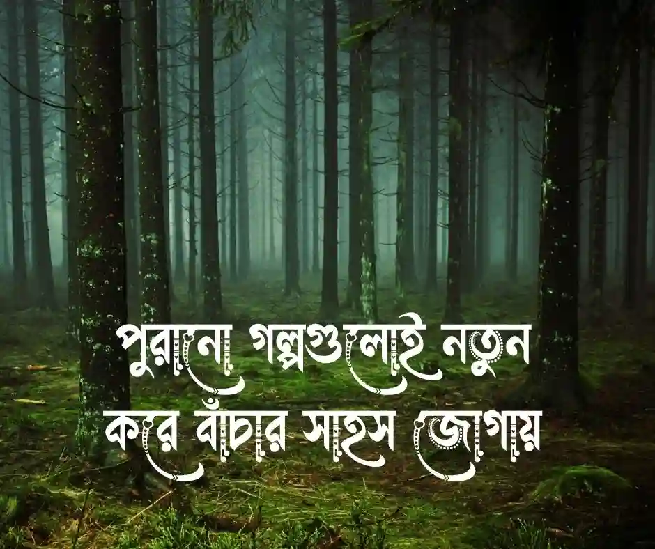 ইতিহাস নিয়ে উক্তি