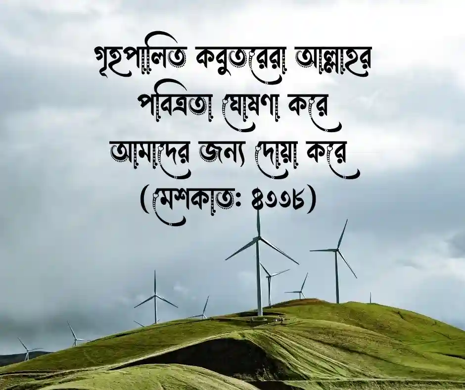 কবুতর নিয়ে হাদিস