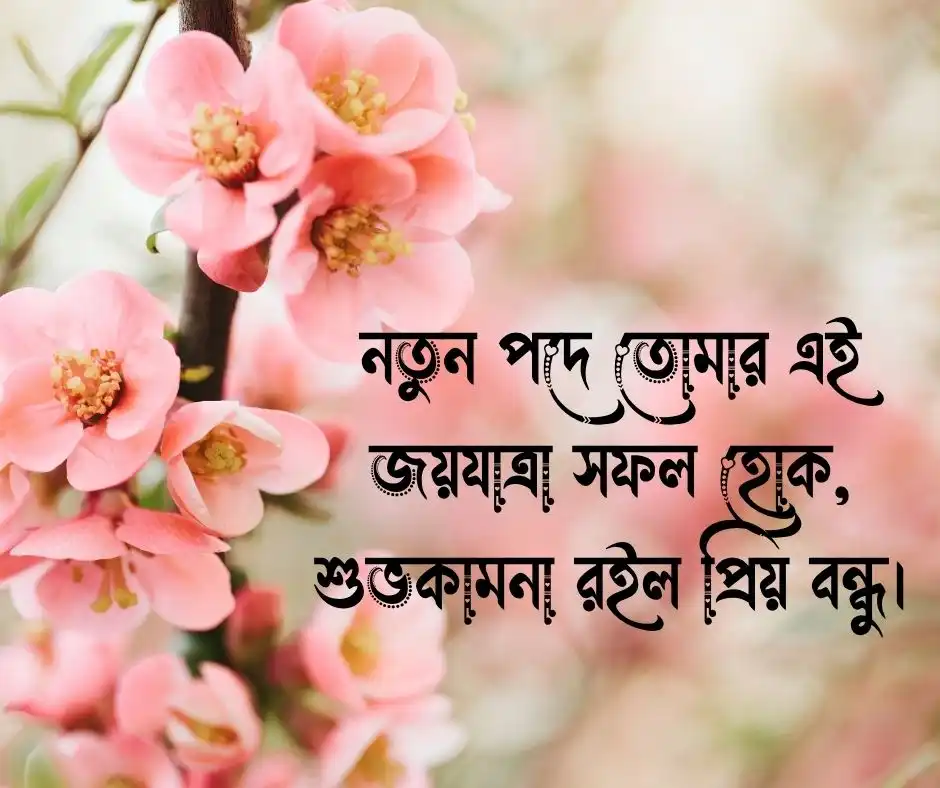 জব প্রমোশনের জন্য অভিনন্দন বার্তা