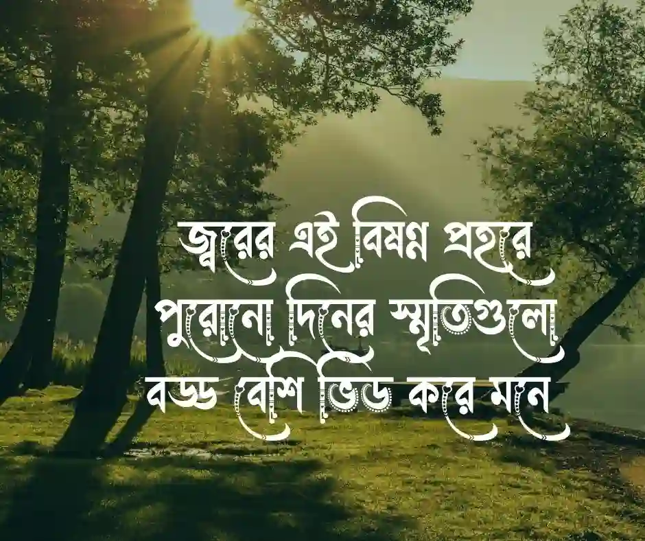 জ্বর নিয়ে স্ট্যাটাস