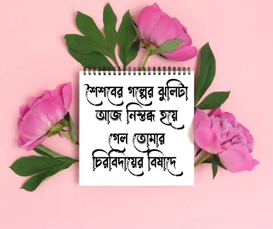 দাদার মৃত্যু নিয়ে স্ট্যাটাস
