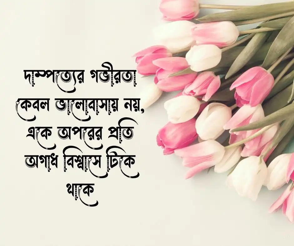 দাম্পত্য জীবন নিয়ে উক্তি