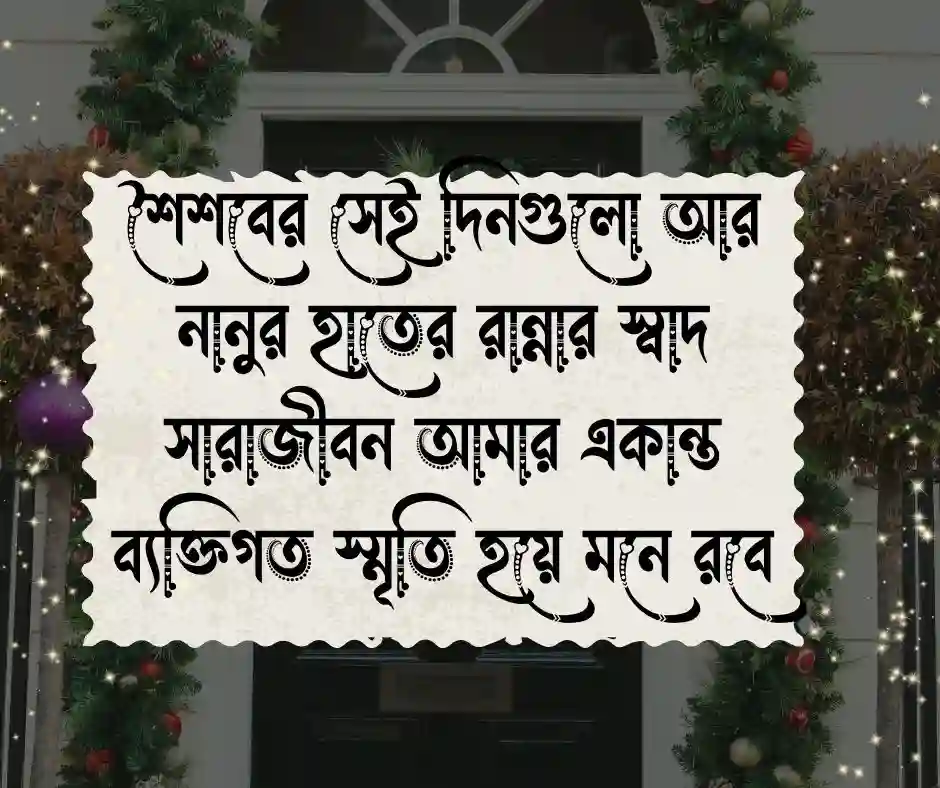 নানুর মৃত্যু নিয়ে স্ট্যাটাস
