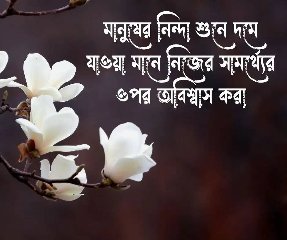 নিন্দুক নিয়ে উক্তি