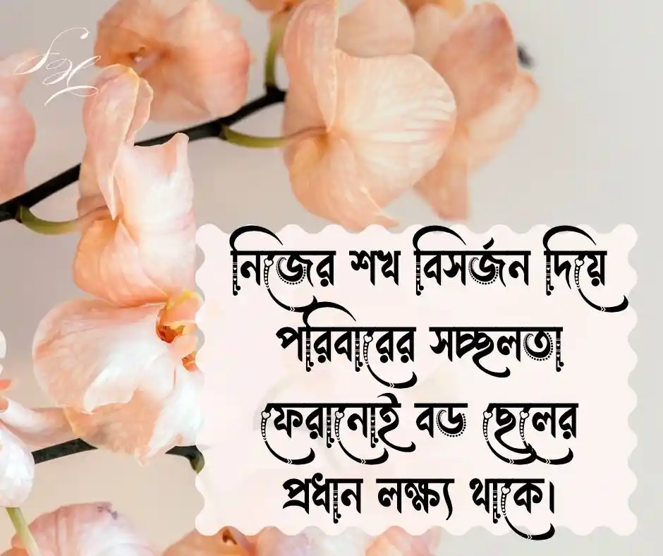 পরিবারের বড় ছেলে নিয়ে স্ট্যাটাস