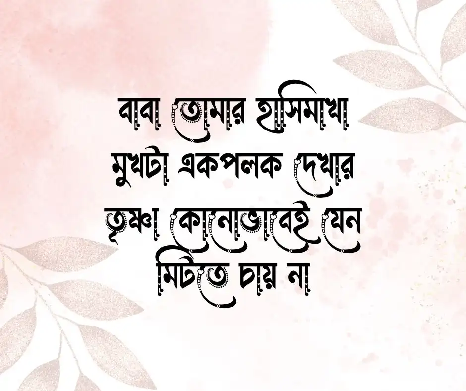 প্রবাসী বাবাকে মিস করা নিয়ে ক্যাপশন