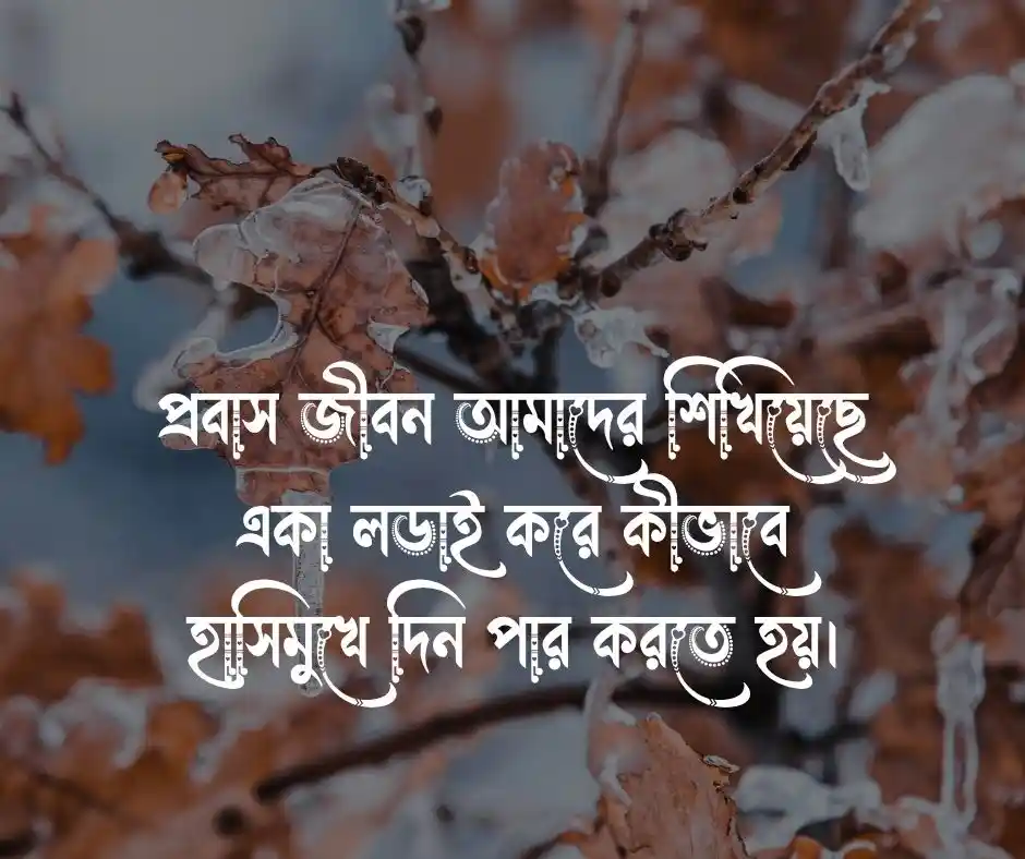 প্রবাস জীবন নিয়ে স্ট্যাটাস