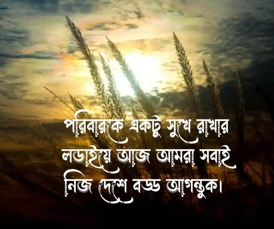 প্রবাস জীবন নিয়ে স্ট্যাটাস