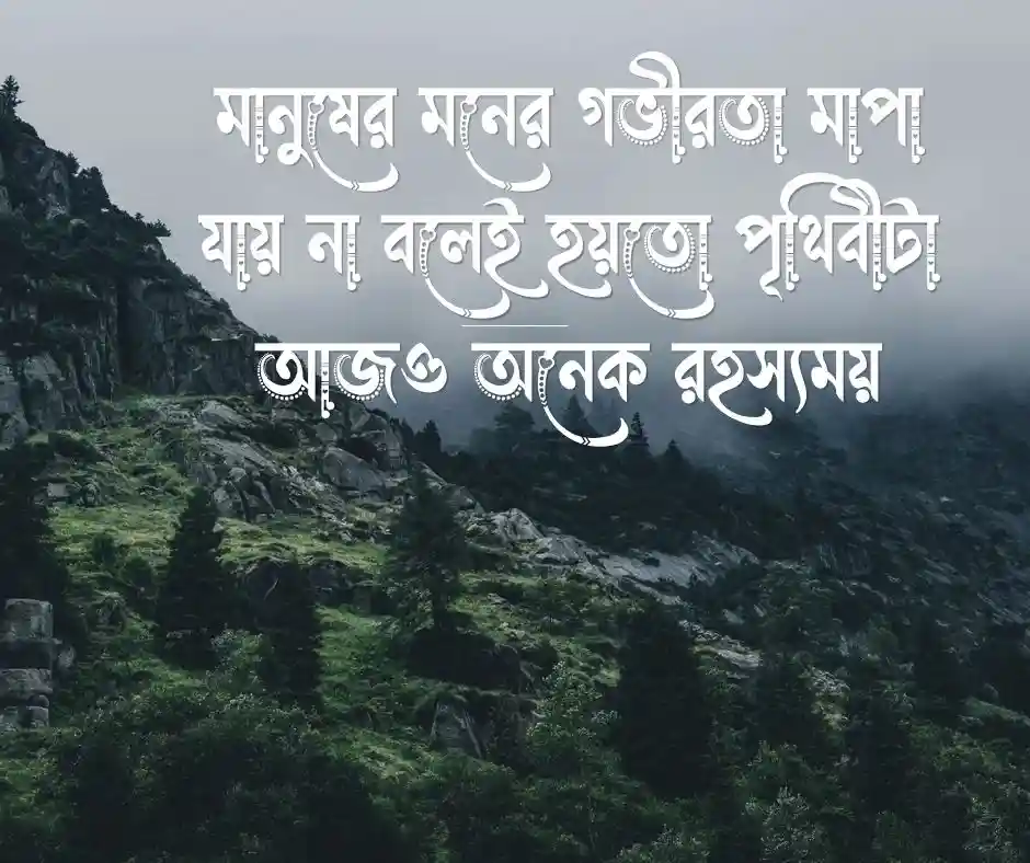 ফেসবুক কভার ফটো উক্তি