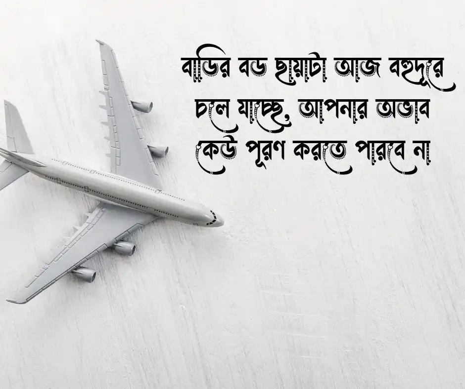 বড় ভাই বিদেশ যাওয়ার স্ট্যাটাস