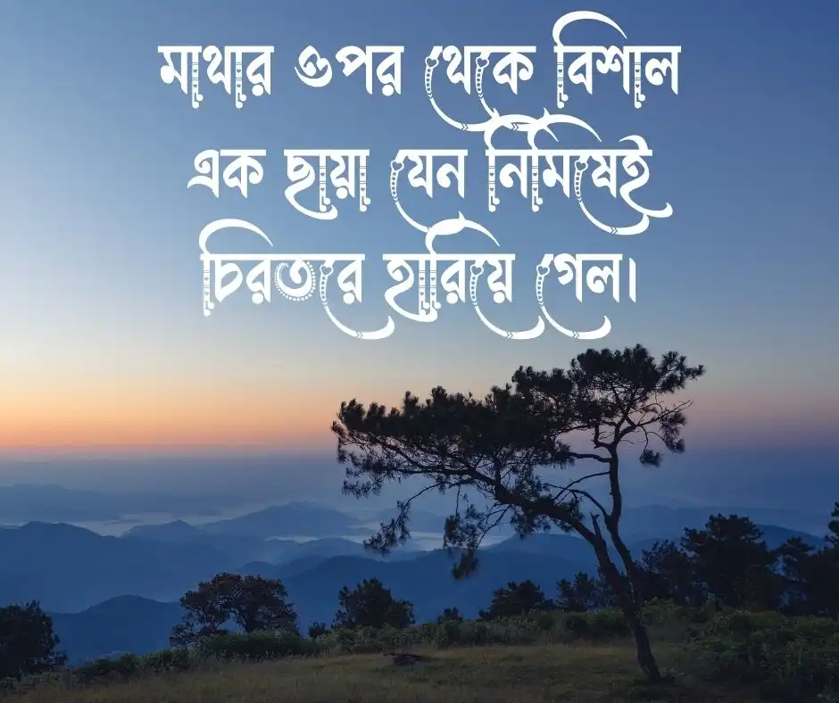 বাবার মৃত্যু নিয়ে স্ট্যাটাস