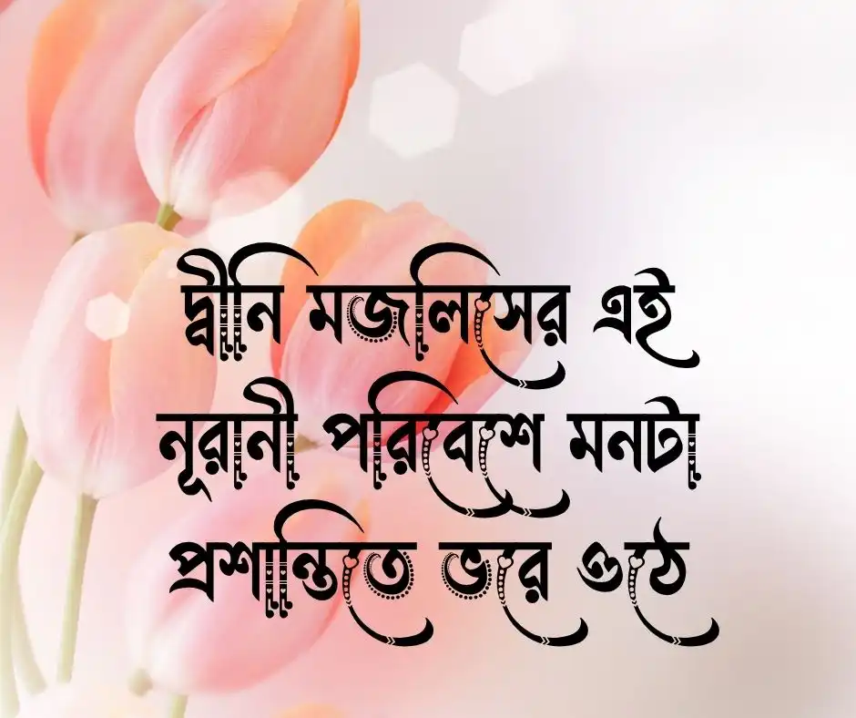 মাহফিল নিয়ে উক্তি