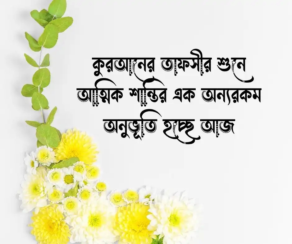 মাহফিল নিয়ে স্ট্যাটাস&nbsp;
