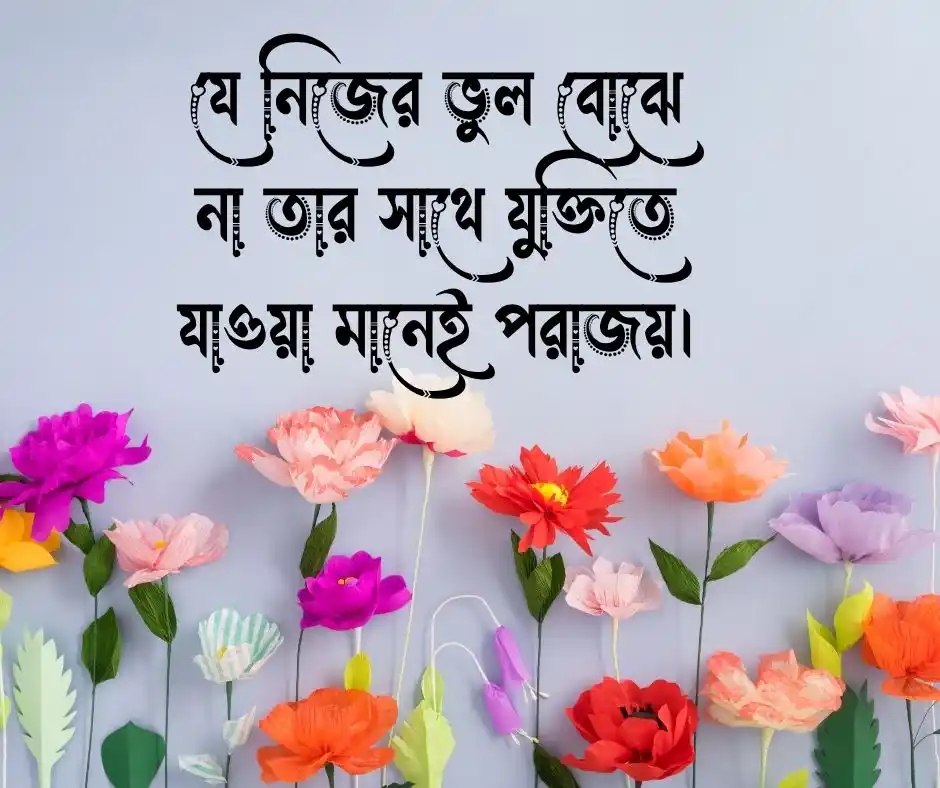 মূর্খের সাথে তর্ক নিয়ে উক্তি