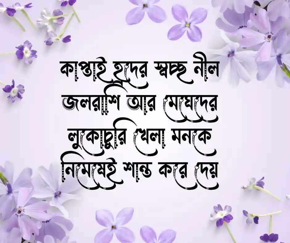 রাঙ্গামাটি নিয়ে ক্যাপশন