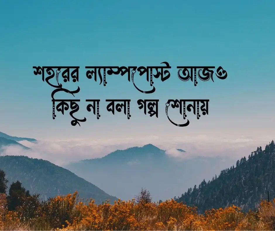 ল্যাম্পপোস্ট নিয়ে ক্যাপশন