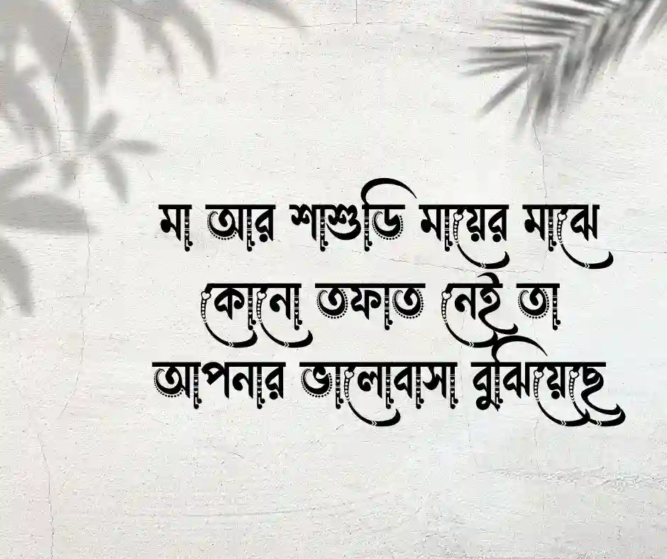 শাশুড়ি নিয়ে ক্যাপশন