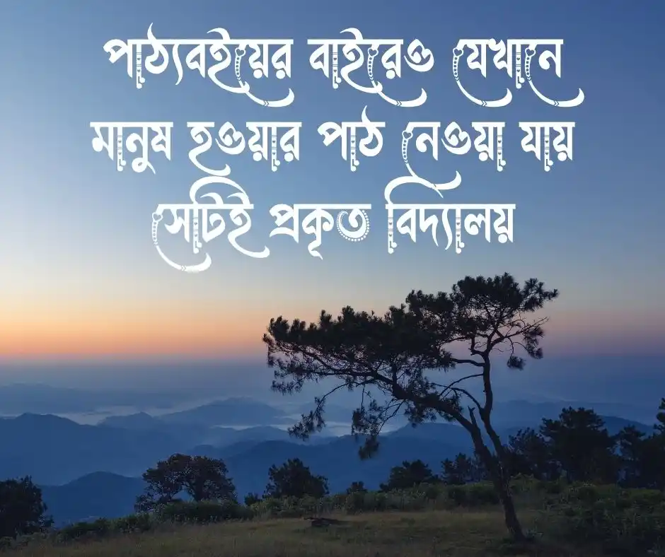 শিক্ষা প্রতিষ্ঠান নিয়ে উক্তি