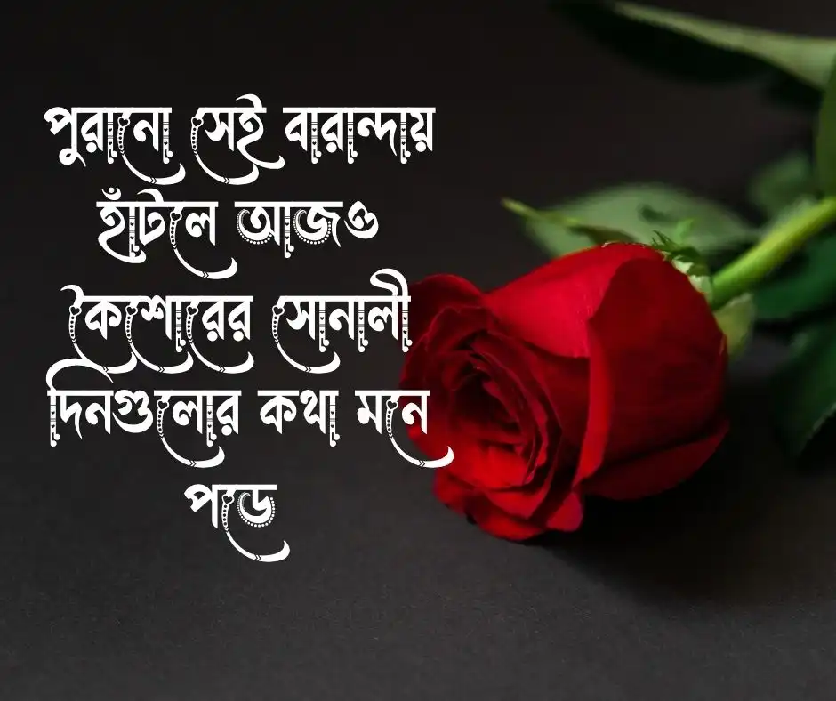 শিক্ষা প্রতিষ্ঠান নিয়ে ক্যাপশন