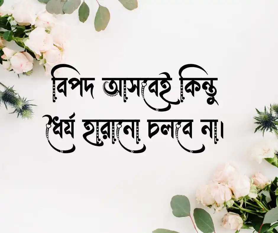 সমস্যা নিয়ে উক্তি