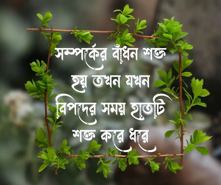 সম্পর্কে তৃতীয় ব্যক্তি নিয়ে উক্তি