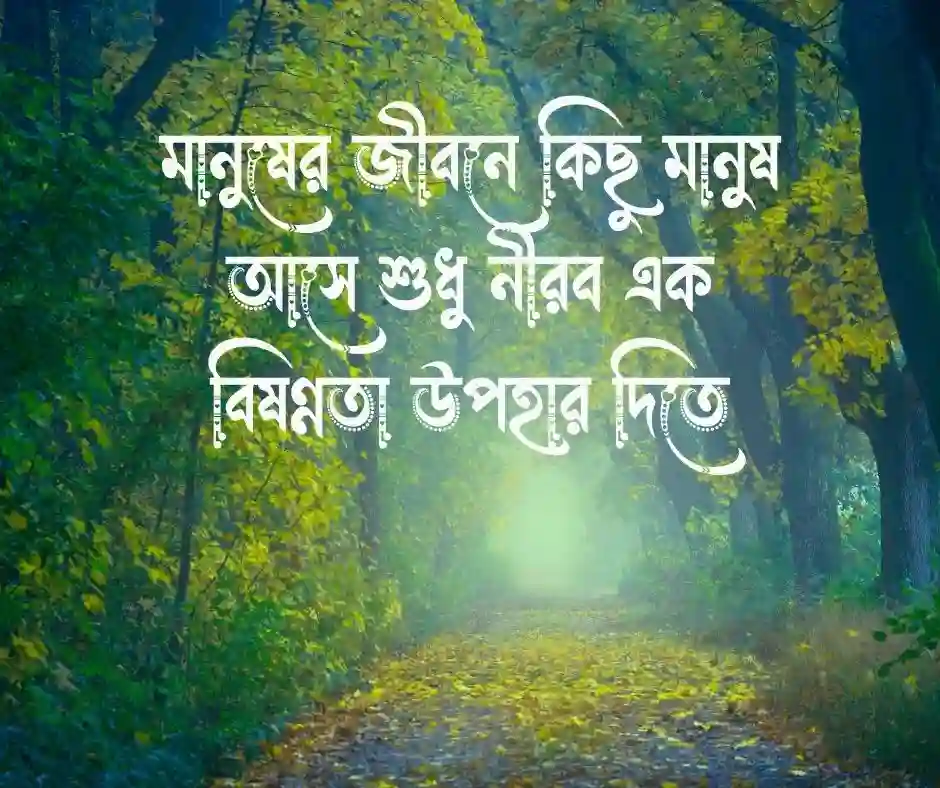 সম্পর্কে তৃতীয় ব্যক্তি নিয়ে স্ট্যাটাস
