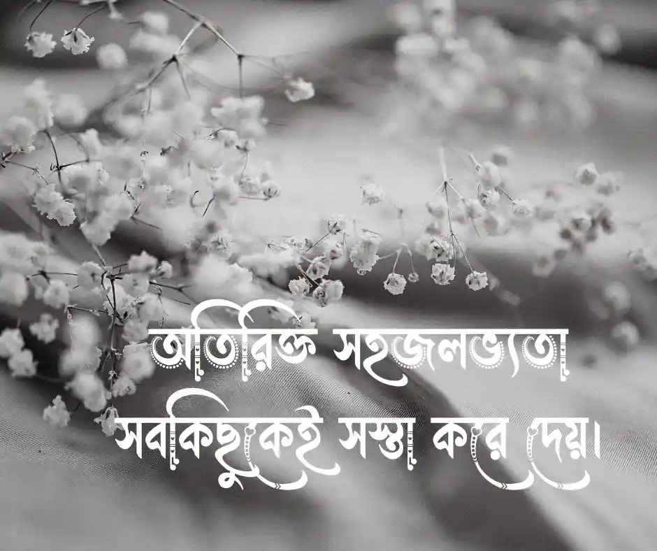সস্তা নিয়ে উক্তি