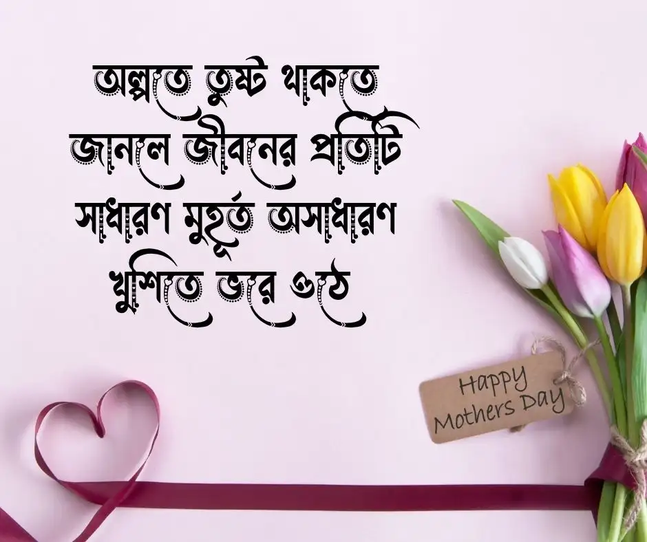 সুখী জীবন নিয়ে উক্তি