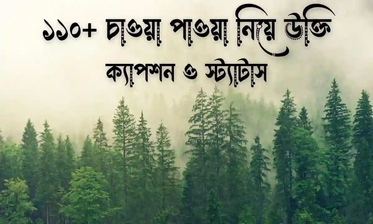 চাওয়া পাওয়া নিয়ে উক্তি, ক্যাপশন ও স্ট্যাটাস