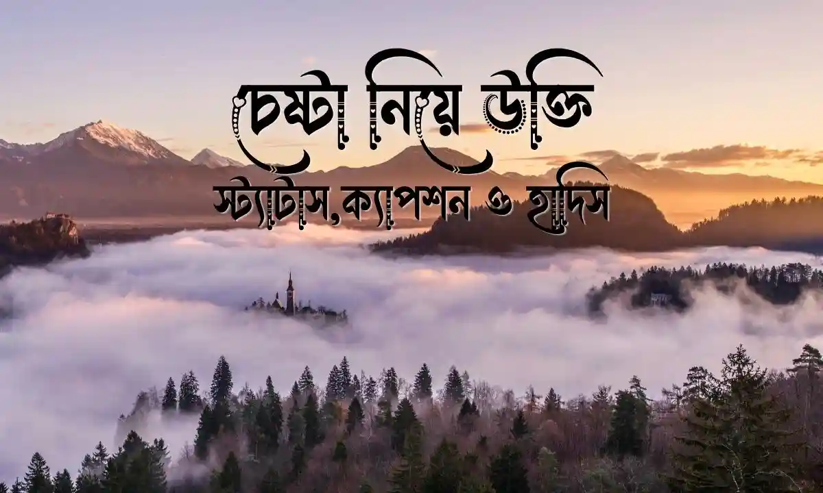চেষ্টা নিয়ে উক্তি,স্ট্যাটাস,ক্যাপশন ও হাদিস